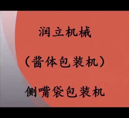 自動(dòng)醬體包裝機(jī)；帶嘴袋包裝機(jī)